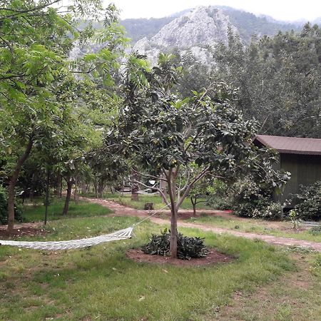 Kibala Hotel Çıralı Exterior foto